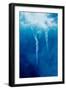 Iceberg, Gerlache Strait, Antarctica-Paul Souders-Framed Photographic Print