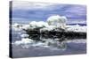 Iceberg in Greenland-Françoise Gaujour-Stretched Canvas