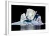 Iceberg in Greenland-Françoise Gaujour-Framed Photographic Print