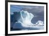 Iceberg in Hercules Bay, South Georgia, Southern Ocean, Polar Regions-Michael Nolan-Framed Photographic Print