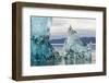 Iceberg in Holkham Bay-Paul Souders-Framed Photographic Print