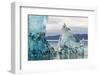 Iceberg in Holkham Bay-Paul Souders-Framed Photographic Print