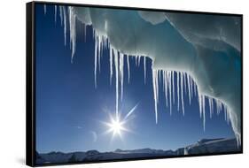 Iceberg in Lemaire Channel, Antarctica-Paul Souders-Framed Stretched Canvas