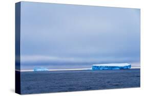 Iceberg in South Atlantic Ocean, Antarctica-Keren Su-Stretched Canvas