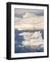 Iceberg in the Uummannaq Fjord System. Greenland, Denmark.-Martin Zwick-Framed Photographic Print