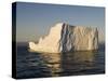 Iceberg on Bransfield Strait, Antarctic Peninsula, Antarctica, Polar Regions-Sergio Pitamitz-Stretched Canvas