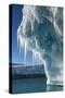 Iceberg, Petermann Island, Antarctica-null-Stretched Canvas