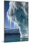 Iceberg, Petermann Island, Antarctica-null-Mounted Photographic Print