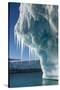 Iceberg, Petermann Island, Antarctica-null-Stretched Canvas