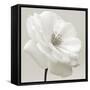 Iceberg Rose Neutral-Tom Quartermaine-Framed Stretched Canvas