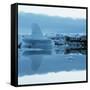 Iceberg Shaped Like a Whale Fin-null-Framed Stretched Canvas