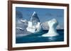 Iceberg, South Shetland Islands, Antarctica-Paul Souders-Framed Photographic Print