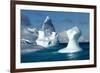 Iceberg, South Shetland Islands, Antarctica-Paul Souders-Framed Photographic Print