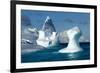 Iceberg, South Shetland Islands, Antarctica-Paul Souders-Framed Photographic Print