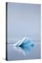 Iceberg, Svalbard, Norway-null-Stretched Canvas