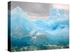 Iceberg, Western Antarctic Peninsula, Antarctica-Steve Kazlowski-Stretched Canvas