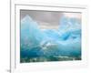 Iceberg, Western Antarctic Peninsula, Antarctica-Steve Kazlowski-Framed Photographic Print