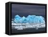 Iceberg, Western Antarctic Peninsula, Antarctica-Steve Kazlowski-Framed Stretched Canvas