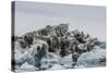 Iceberg with Moraine Material and Icicles at Booth Island, Antarctica, Polar Regions-Michael Nolan-Stretched Canvas