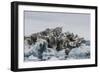 Iceberg with Moraine Material and Icicles at Booth Island, Antarctica, Polar Regions-Michael Nolan-Framed Photographic Print