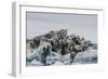 Iceberg with Moraine Material and Icicles at Booth Island, Antarctica, Polar Regions-Michael Nolan-Framed Photographic Print