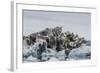 Iceberg with Moraine Material and Icicles at Booth Island, Antarctica, Polar Regions-Michael Nolan-Framed Photographic Print