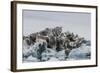 Iceberg with Moraine Material and Icicles at Booth Island, Antarctica, Polar Regions-Michael Nolan-Framed Photographic Print