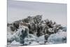 Iceberg with Moraine Material and Icicles at Booth Island, Antarctica, Polar Regions-Michael Nolan-Mounted Photographic Print