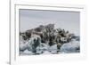 Iceberg with Moraine Material and Icicles at Booth Island, Antarctica, Polar Regions-Michael Nolan-Framed Photographic Print