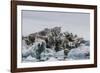 Iceberg with Moraine Material and Icicles at Booth Island, Antarctica, Polar Regions-Michael Nolan-Framed Photographic Print