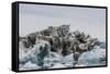 Iceberg with Moraine Material and Icicles at Booth Island, Antarctica, Polar Regions-Michael Nolan-Framed Stretched Canvas