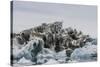 Iceberg with Moraine Material and Icicles at Booth Island, Antarctica, Polar Regions-Michael Nolan-Stretched Canvas