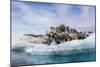 Iceberg with Moraine Material and Icicles at Booth Island, Antarctica, Polar Regions-Michael Nolan-Mounted Photographic Print