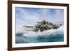 Iceberg with Moraine Material and Icicles at Booth Island, Antarctica, Polar Regions-Michael Nolan-Framed Photographic Print