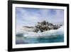 Iceberg with Moraine Material and Icicles at Booth Island, Antarctica, Polar Regions-Michael Nolan-Framed Photographic Print