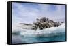 Iceberg with Moraine Material and Icicles at Booth Island, Antarctica, Polar Regions-Michael Nolan-Framed Stretched Canvas