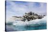 Iceberg with Moraine Material and Icicles at Booth Island, Antarctica, Polar Regions-Michael Nolan-Stretched Canvas