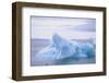 Iceberg with Pack Ice in Distance-DLILLC-Framed Photographic Print