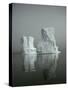 Iceberg-David Vaughan-Stretched Canvas