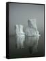 Iceberg-David Vaughan-Framed Stretched Canvas