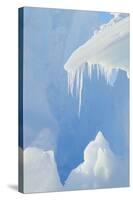 Iceberg-DLILLC-Stretched Canvas