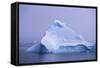 Iceberg-DLILLC-Framed Stretched Canvas