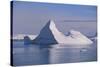 Iceberg-DLILLC-Stretched Canvas