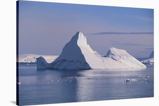 Iceberg-DLILLC-Stretched Canvas