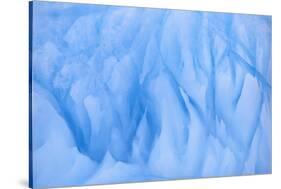 Iceberg-DLILLC-Stretched Canvas