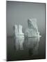 Iceberg-David Vaughan-Mounted Photographic Print