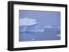 Iceberg-DLILLC-Framed Photographic Print