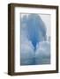 Iceberg-DLILLC-Framed Photographic Print