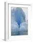 Iceberg-DLILLC-Framed Photographic Print