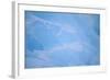 Iceberg-DLILLC-Framed Photographic Print